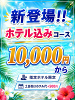 ホテ込み